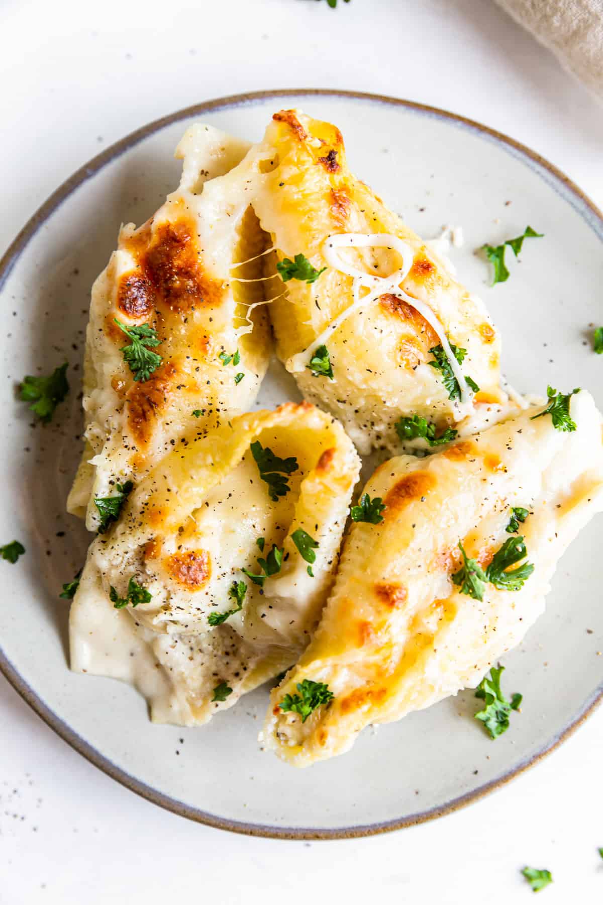 pasta shells stuffed with cheese and chicken topped with alfredo sauce on a white plate