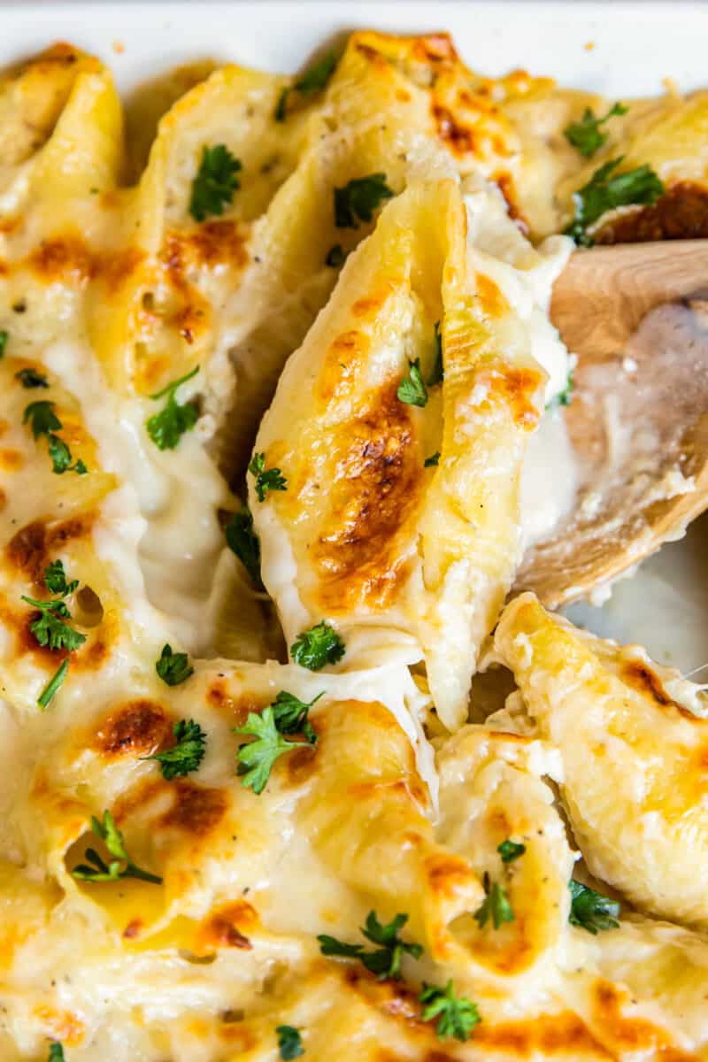 pasta shells stuffed with cheese and chicken topped with alfredo sauce in a baking dish with a wood spoon