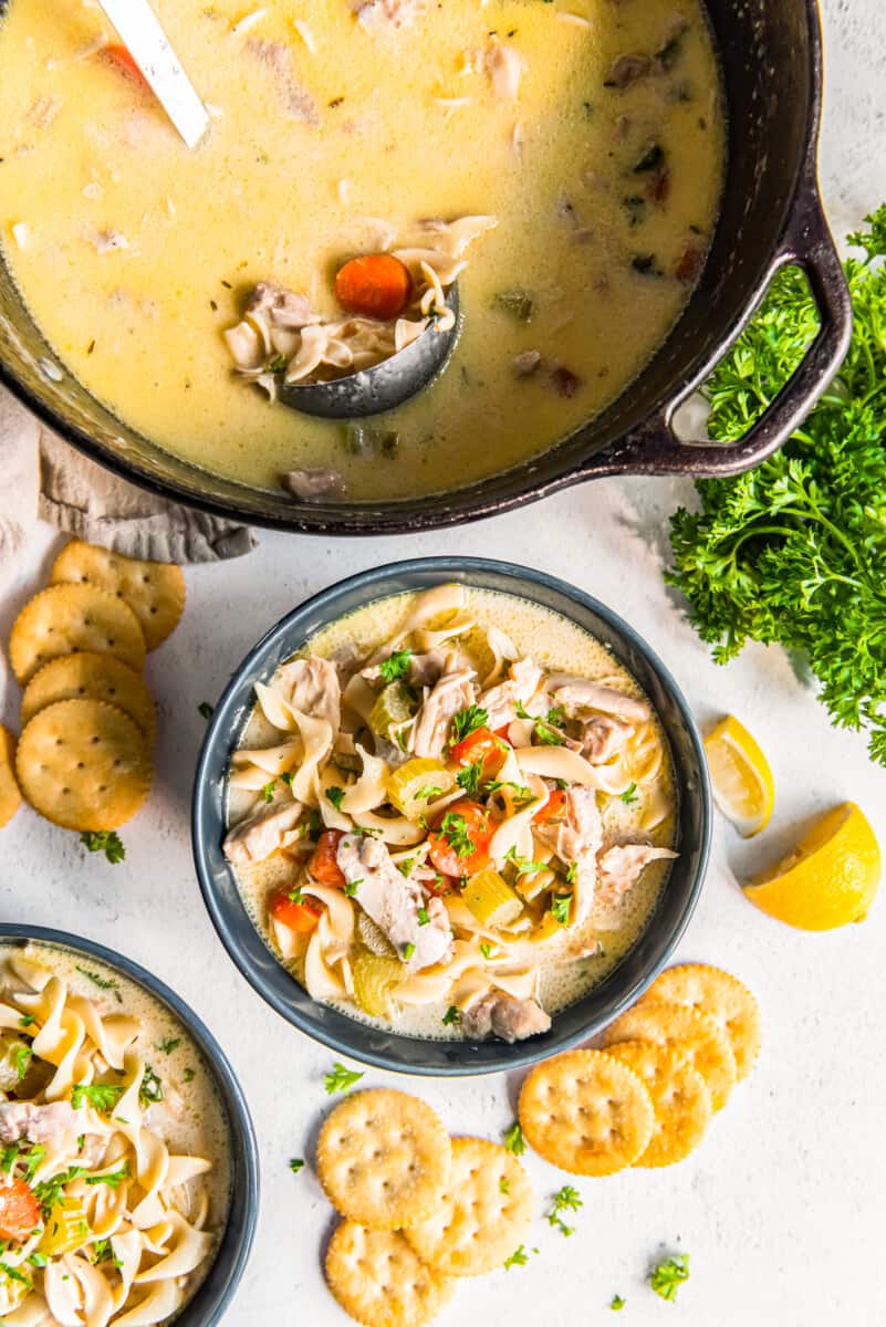 creamy chicken noodle soup in a bowl