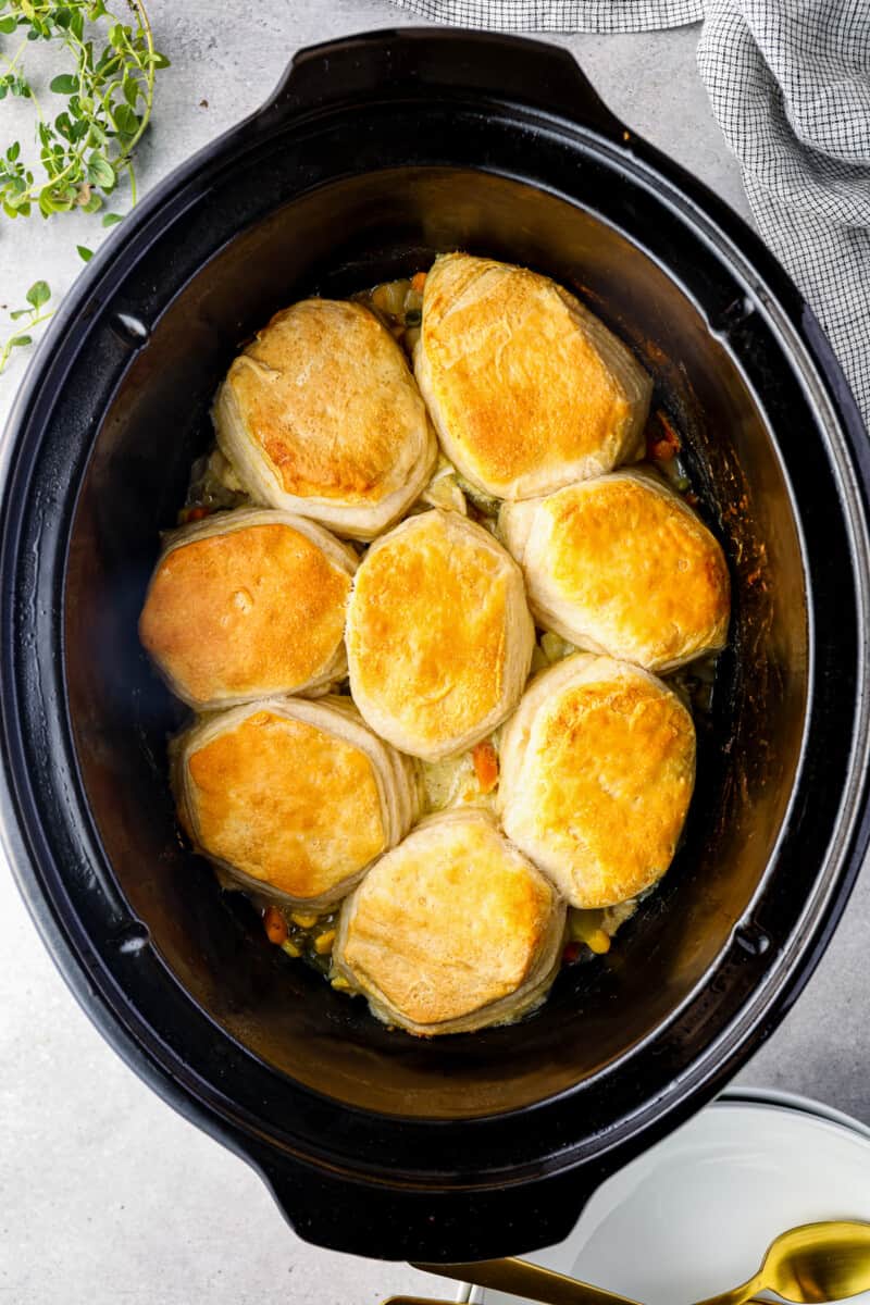 Crockpot Chicken Pot Pie Recipe - 81