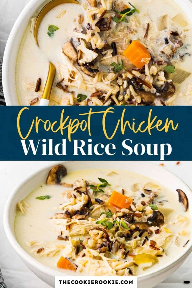 crockpot chicken wild rice soup pinterest