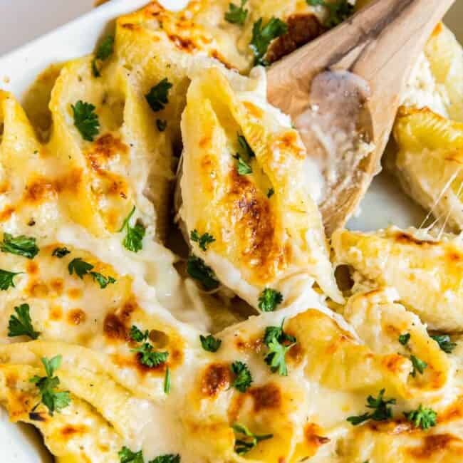 featured chicken alfredo stuffed shells