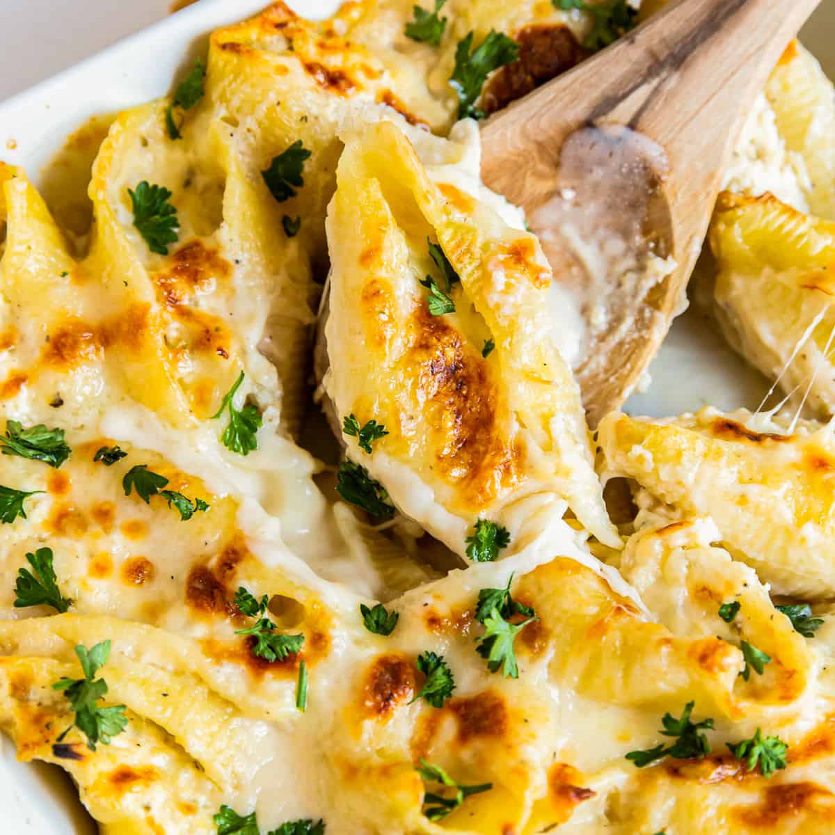 Chicken Alfredo Stuffed Shells - The Cookie Rookie®