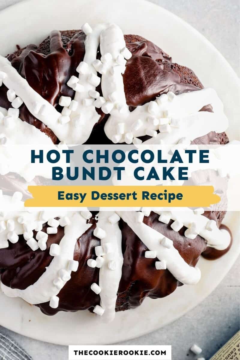 hot chocolate bundt cake pinterest