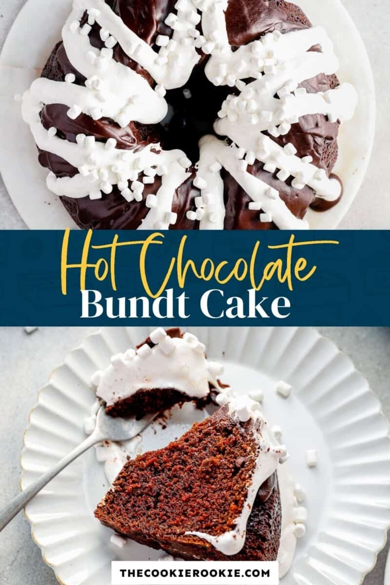 hot chocolate bundt cake pinterest