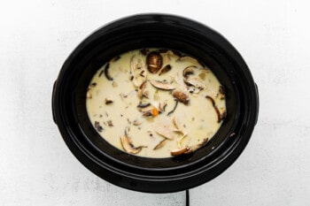 chicken wild rice soup in a crockpot