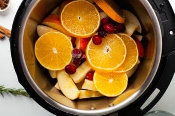 how to make instant pot apple cider