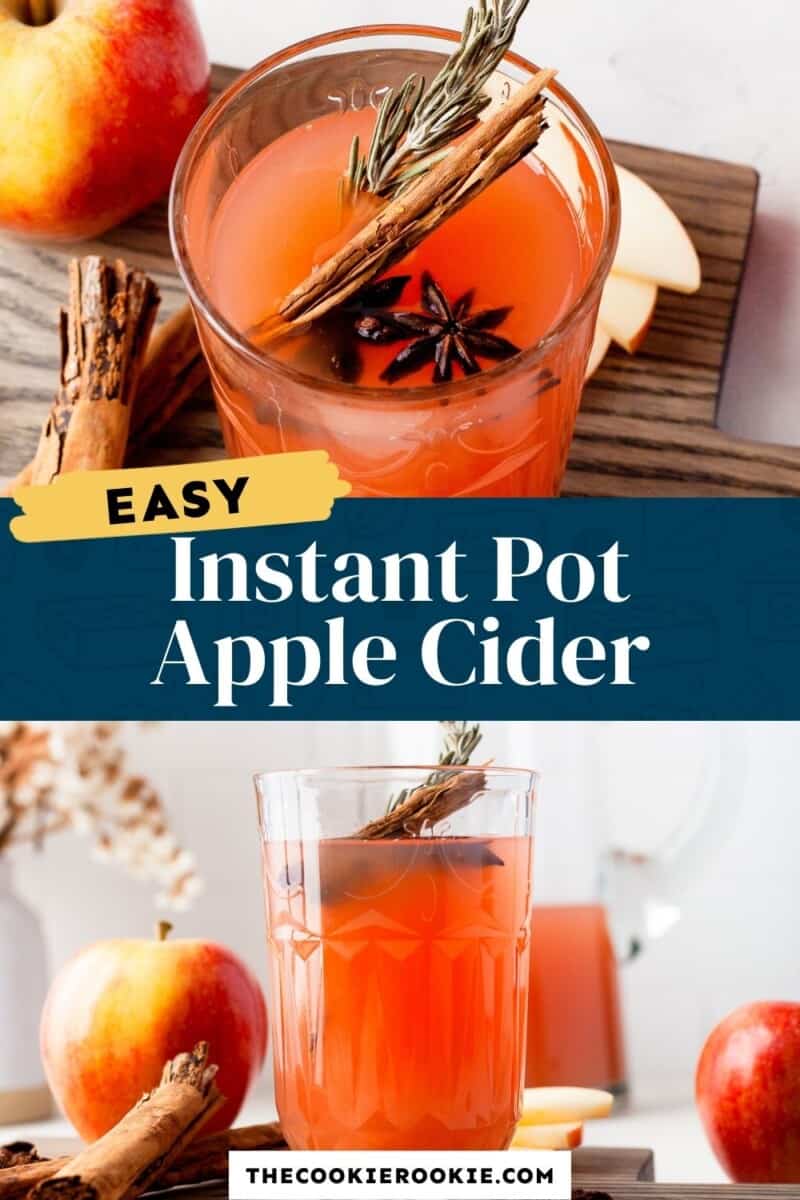 instant pot apple cider pinterest