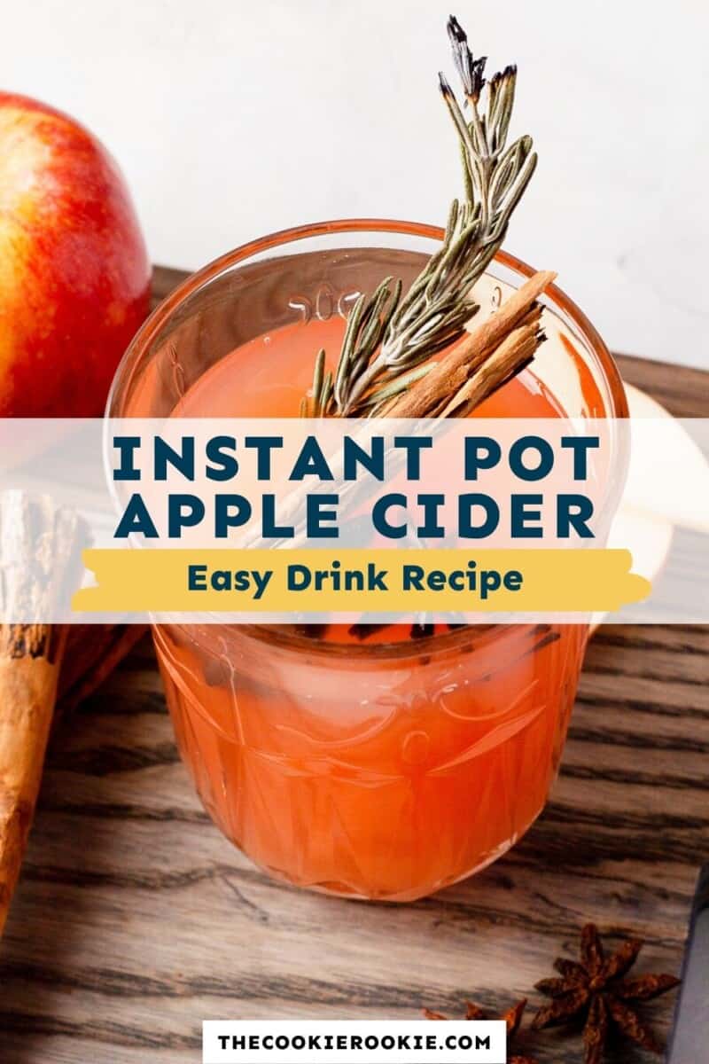 instant pot apple cider pinterest