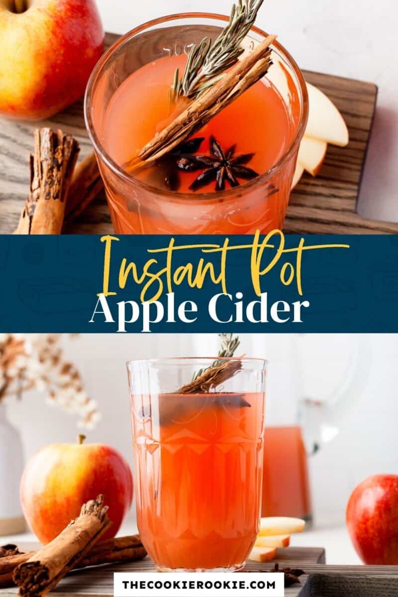 Instant Pot Apple Cider Recipe - 5