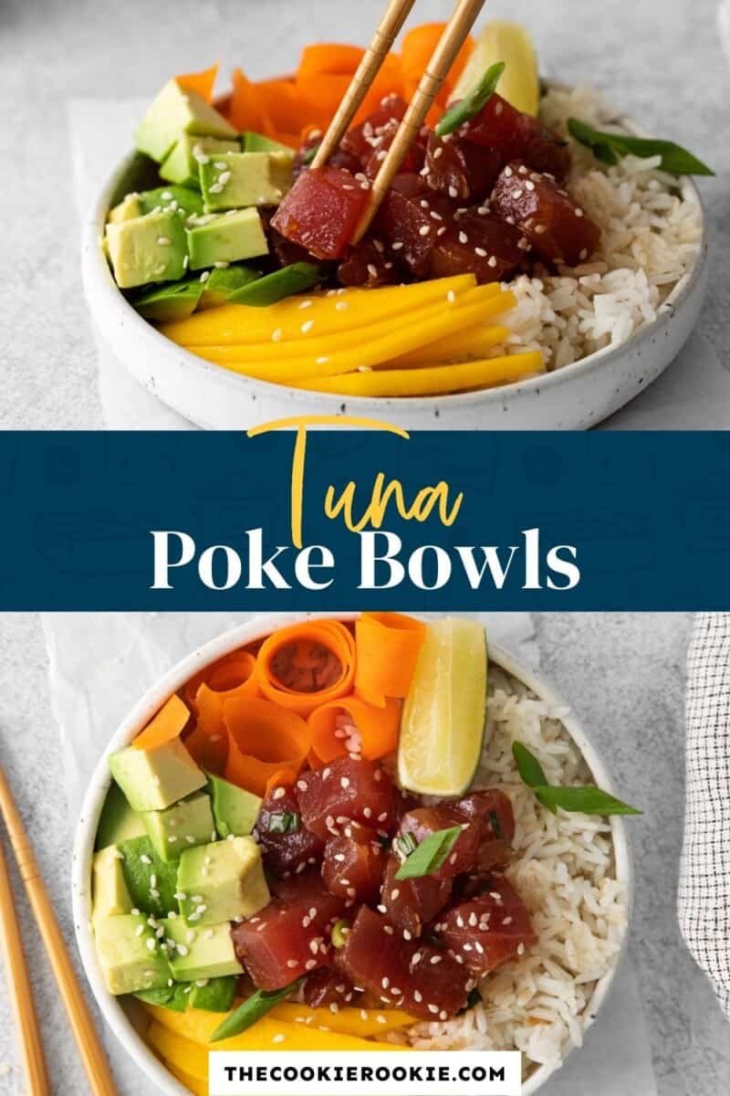 tuna poke bowls pinterest.