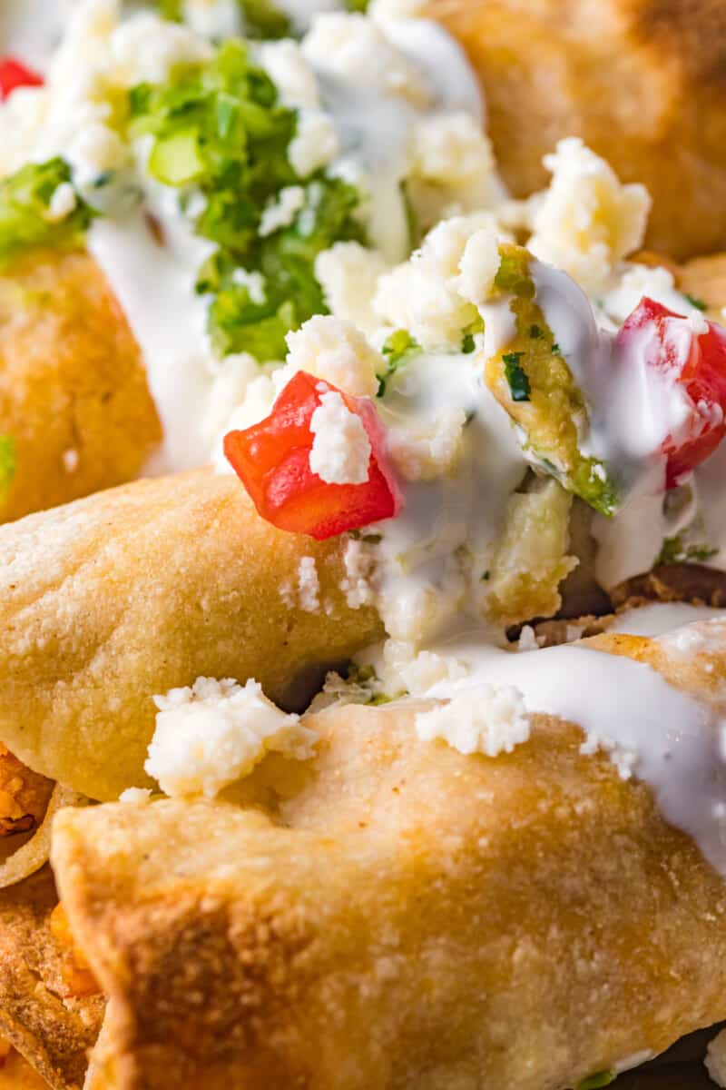 close up image of chicken taquitos