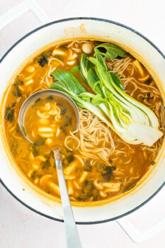 overhead view of easy ramen with a stainless steel ladle topped with bok choy.