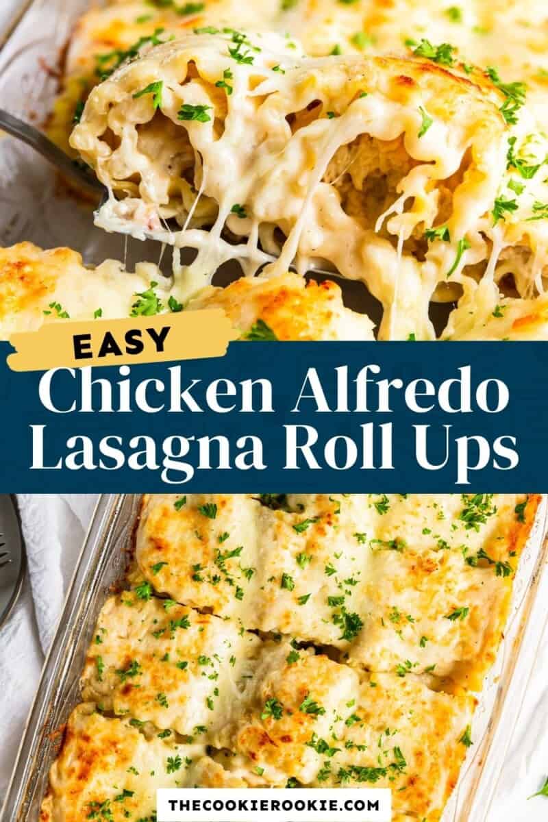chicken alfredo lasagna roll ups pinterest