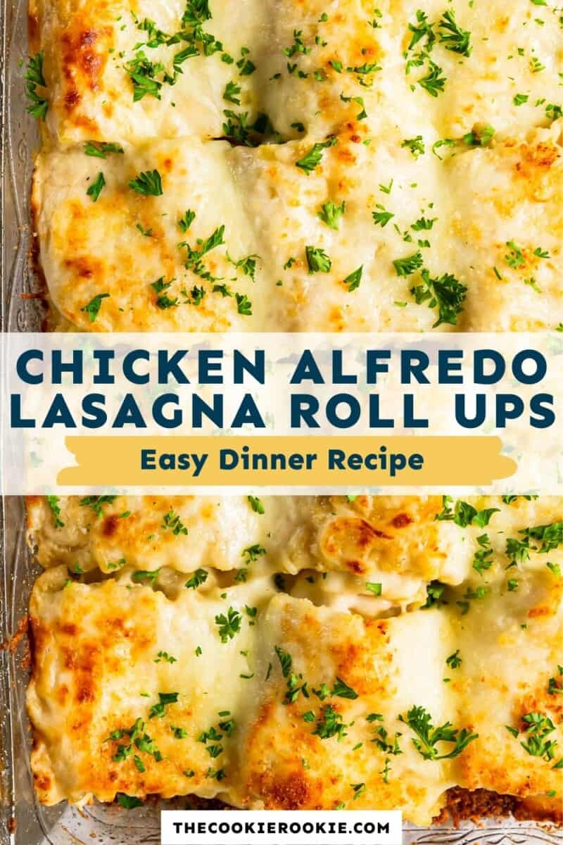 chicken alfredo lasagna roll ups pinterest