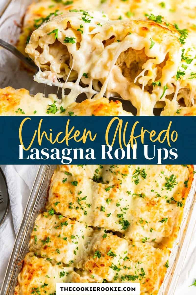 chicken alfredo lasagna roll ups pinterest