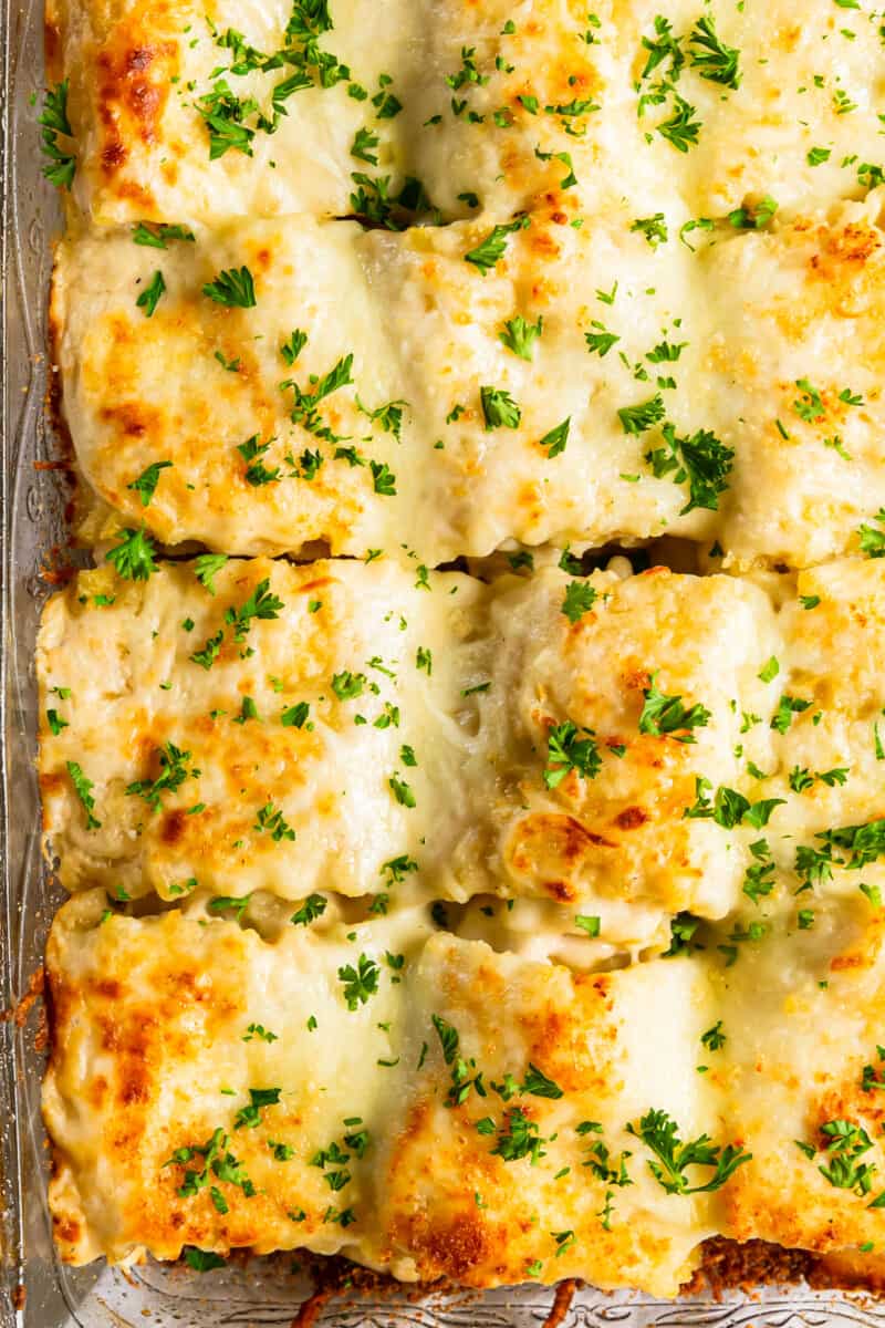 close up image of chicken alfredo lasagna roll ups after baking