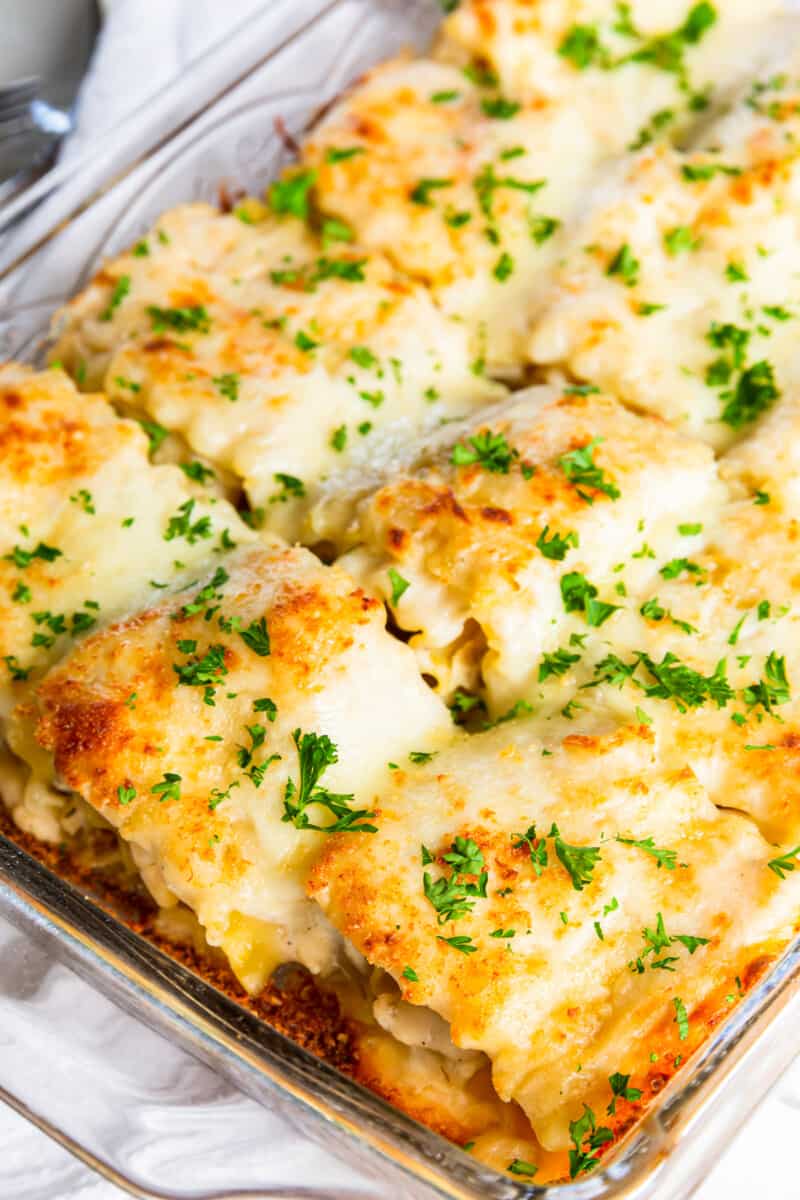 chicken alfredo lasagna roll ups in a casserole dish