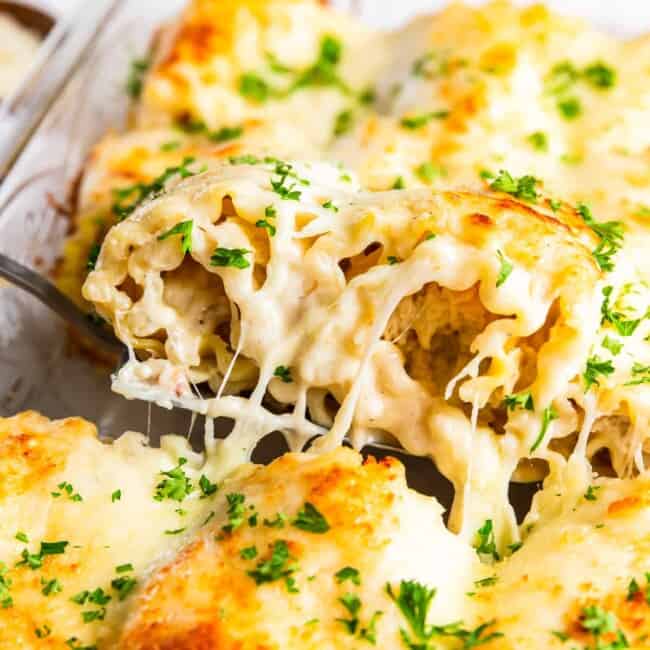 spatula lifting a chicken alfredo lasagna roll up out of the casserole dish