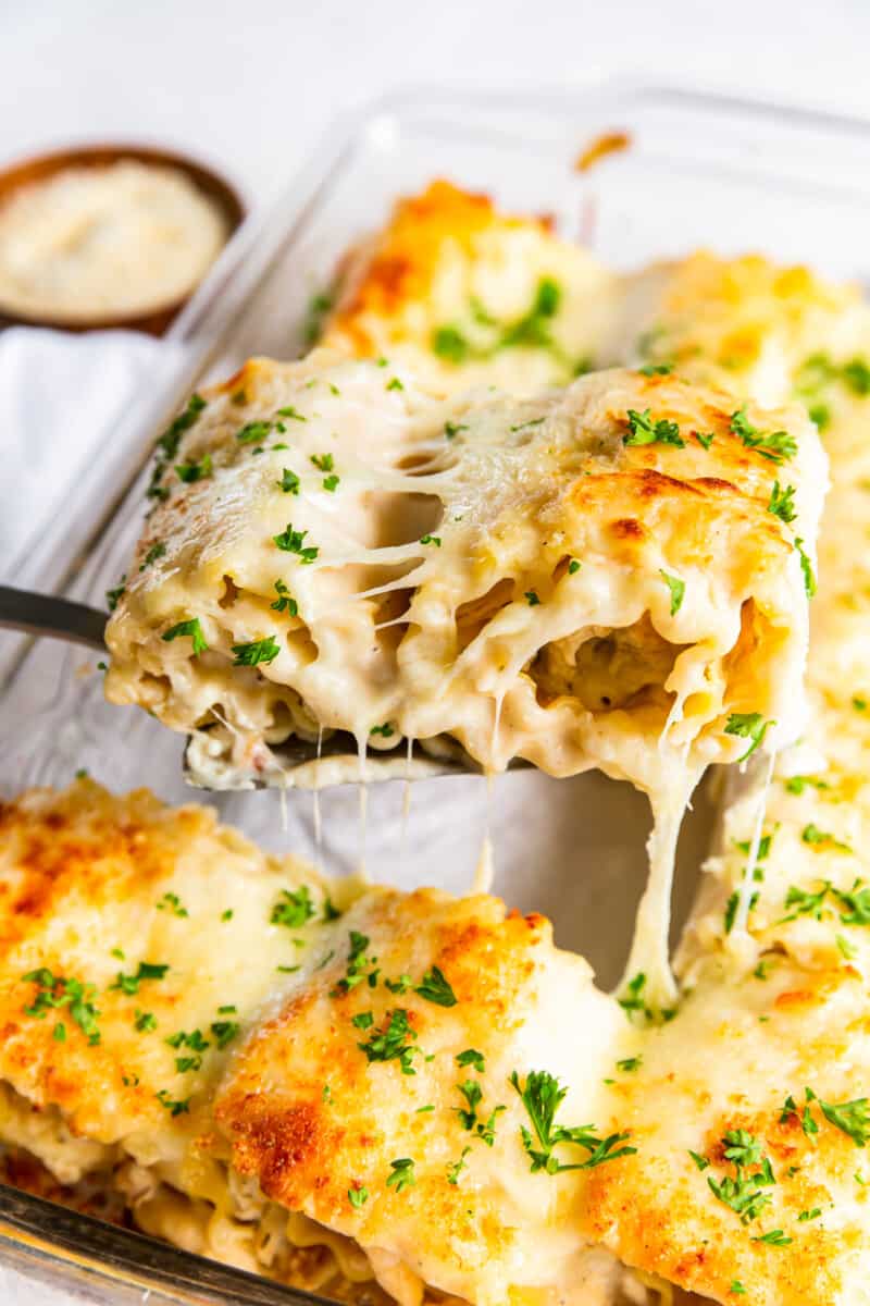 spatula lifting a chicken alfredo lasagna roll up out of the casserole dish