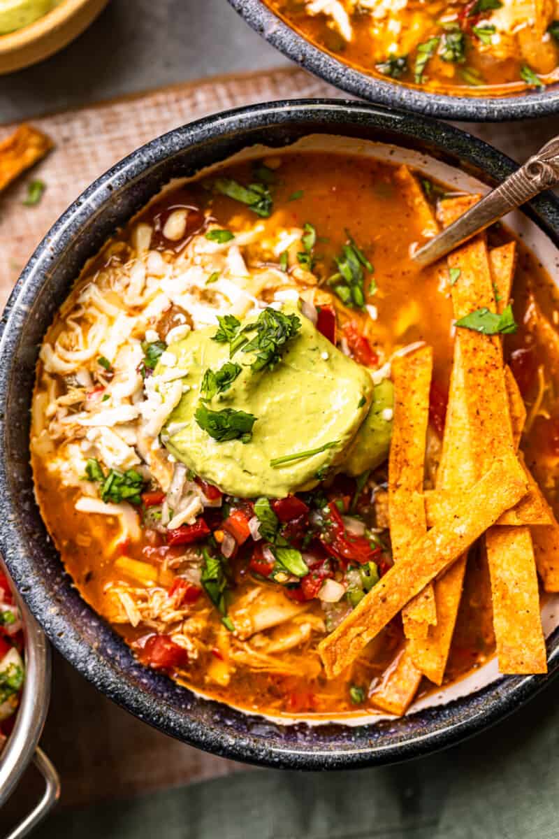 Chicken Fajita Soup Recipe The Cookie Rookie®
