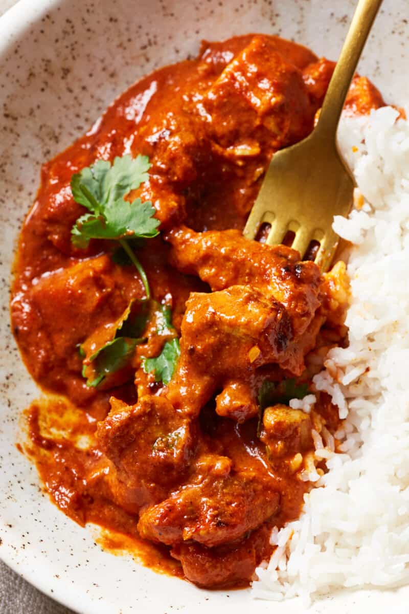 up close white bowl with chicken tikka masala and rice with cilantro