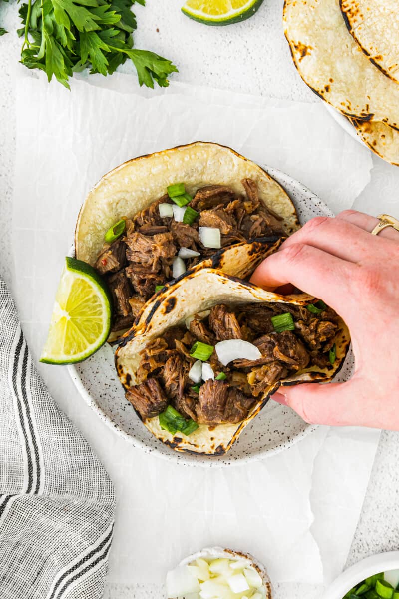 hand holding a beef carnitas taco