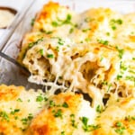 featured chicken alfredo lasagna roll ups