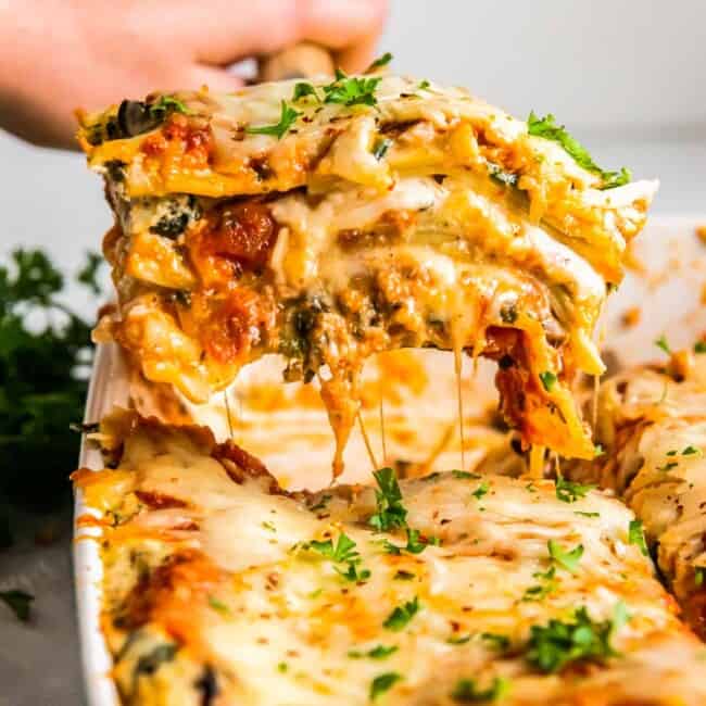 featured vegetarian lasagna