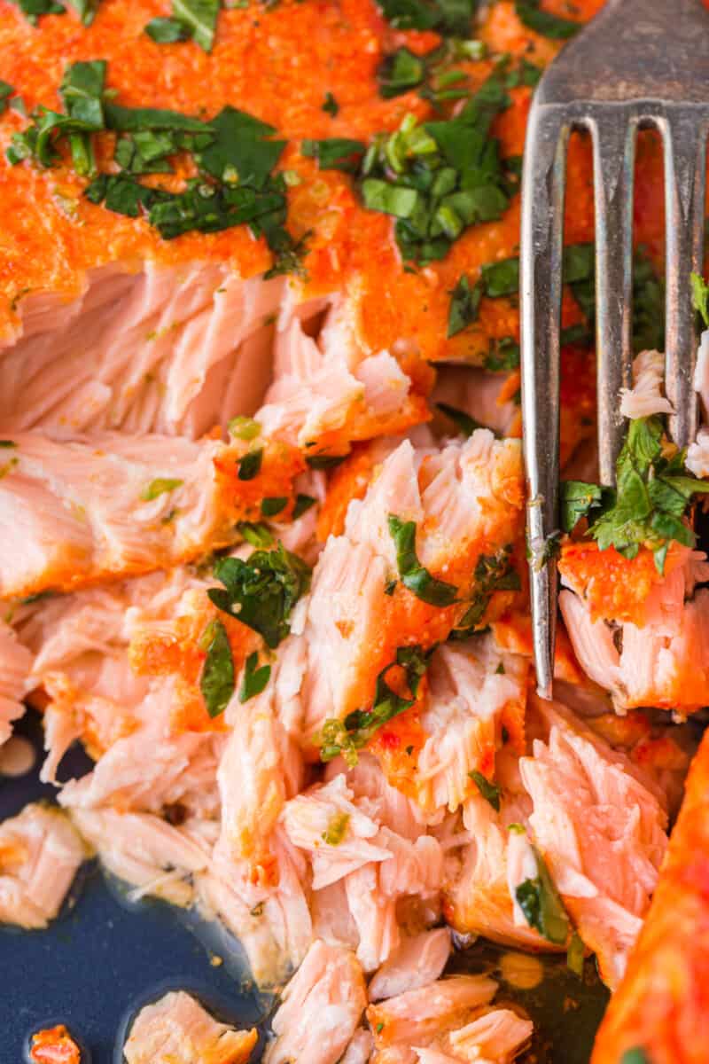 fork with cilantro lime salmon