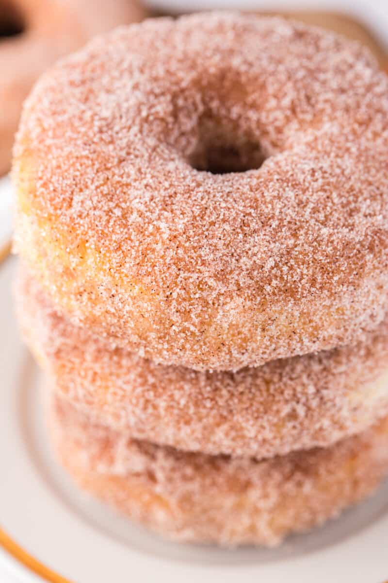 stack of 3 cinnamon sugar donuts