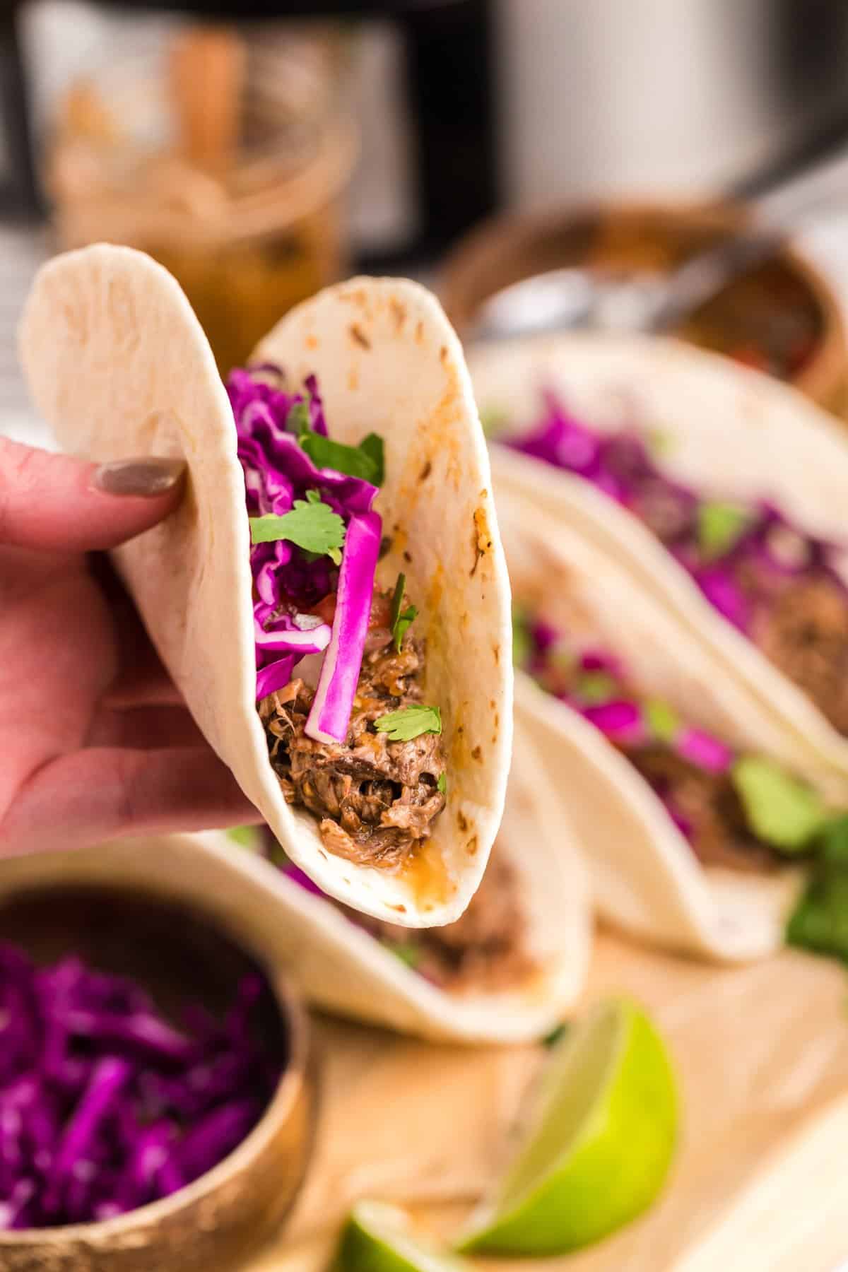 hand holding a barbacoa taco