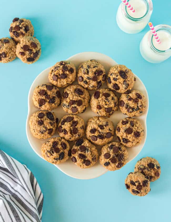 overhead image of chocolate chip breakfast cookies on a white plate