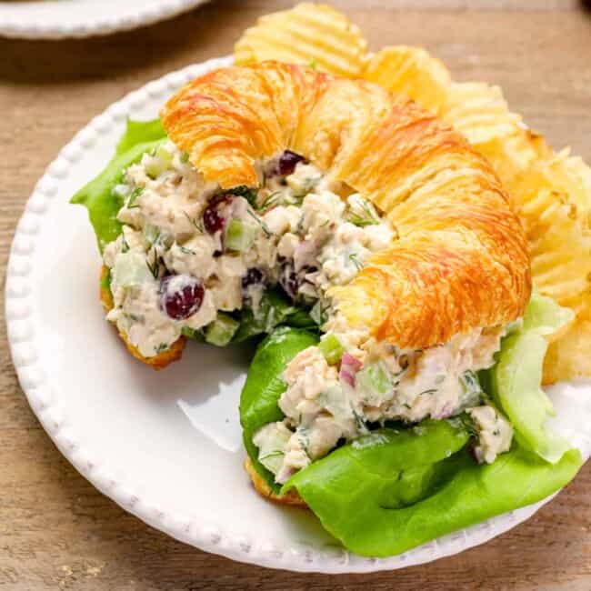 chicken salad on a croissant on a white plate