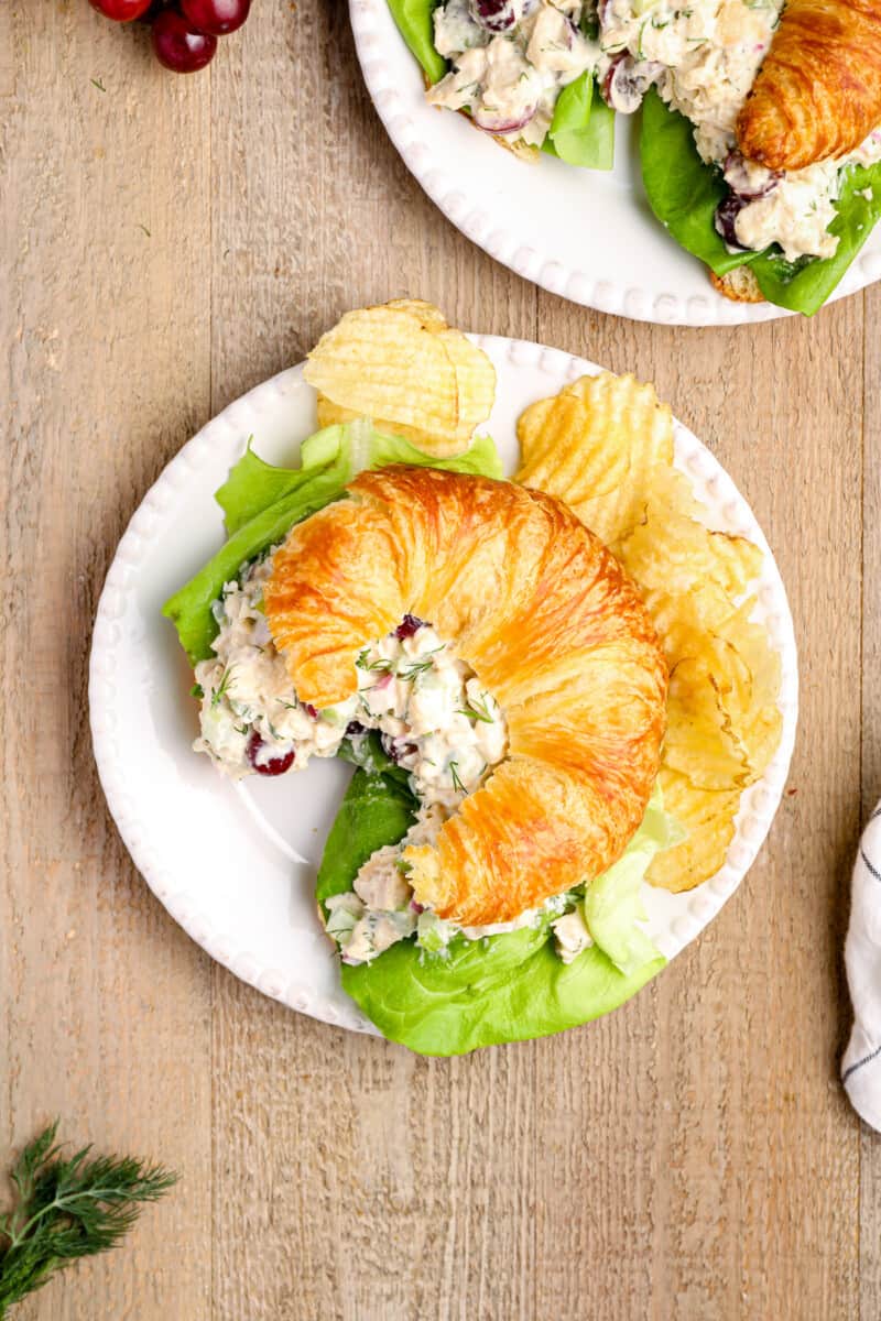 chicken salad on a croissant on a white plate