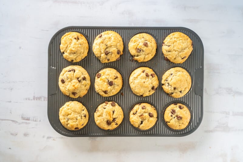 chocolate chip muffins after baking in a muffin pan