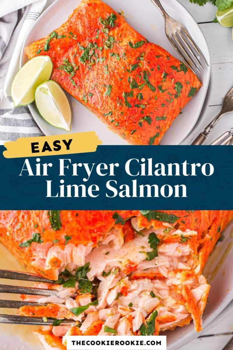 air fryer cilantro lime salmon pinterest