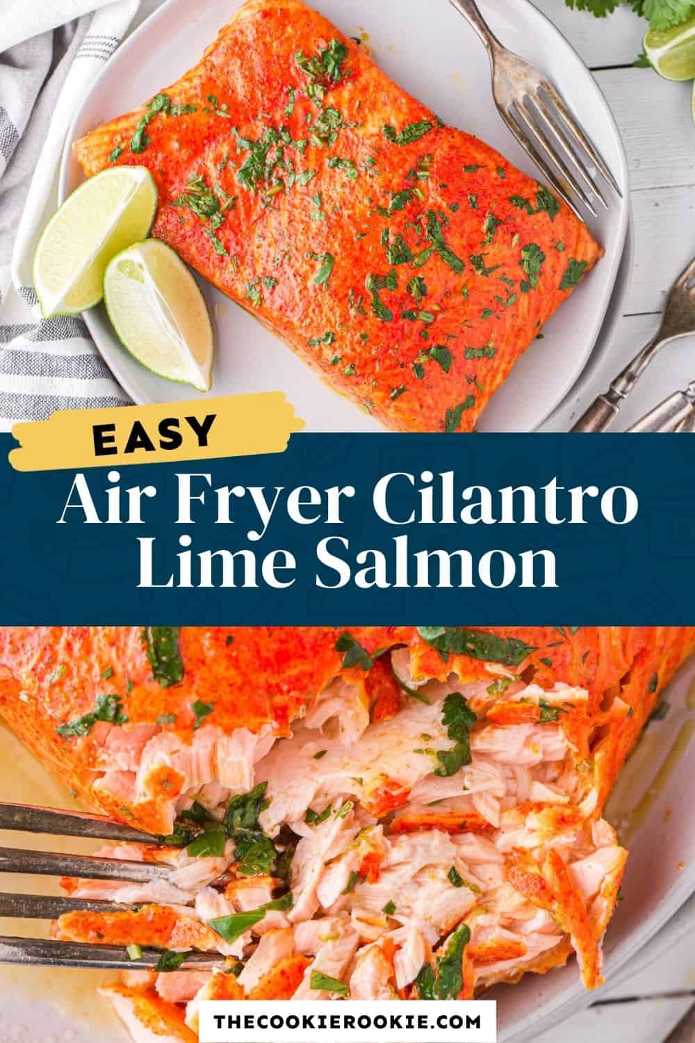 Air Fryer Cilantro Lime Salmon Recipe The Cookie Rookie®