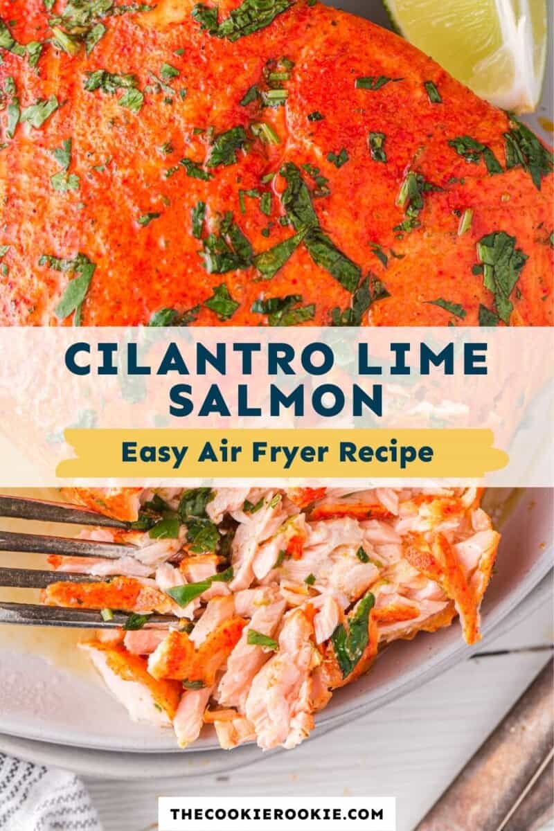 air fryer cilantro lime salmon pinterest