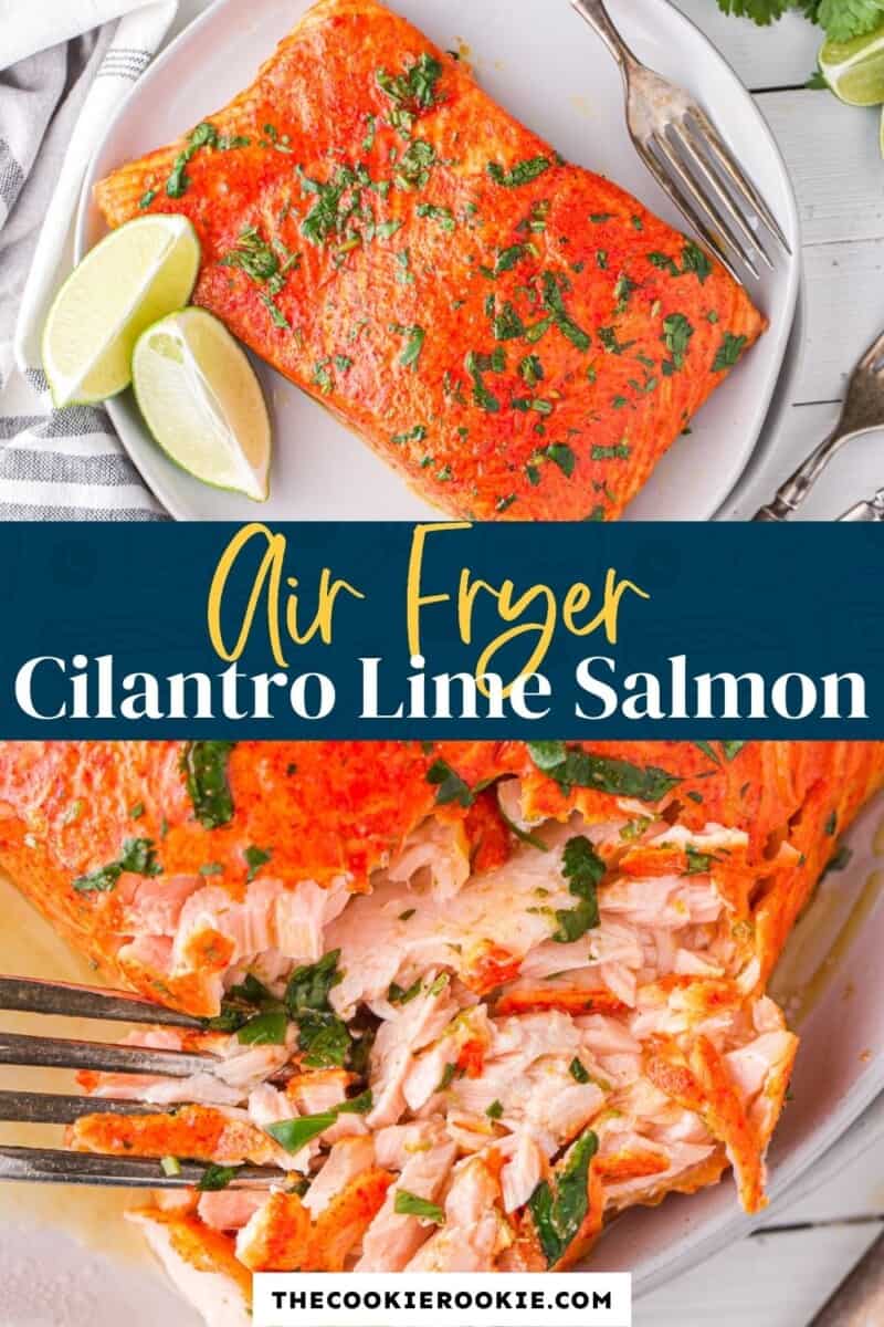 air fryer cilantro lime salmon pinterest