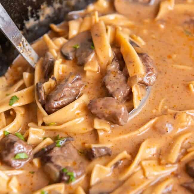 ladle of beef stroganoff soup in a pot
