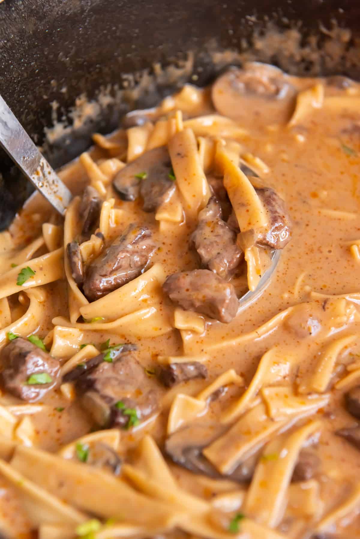 ladle of beef stroganoff soup in a pot