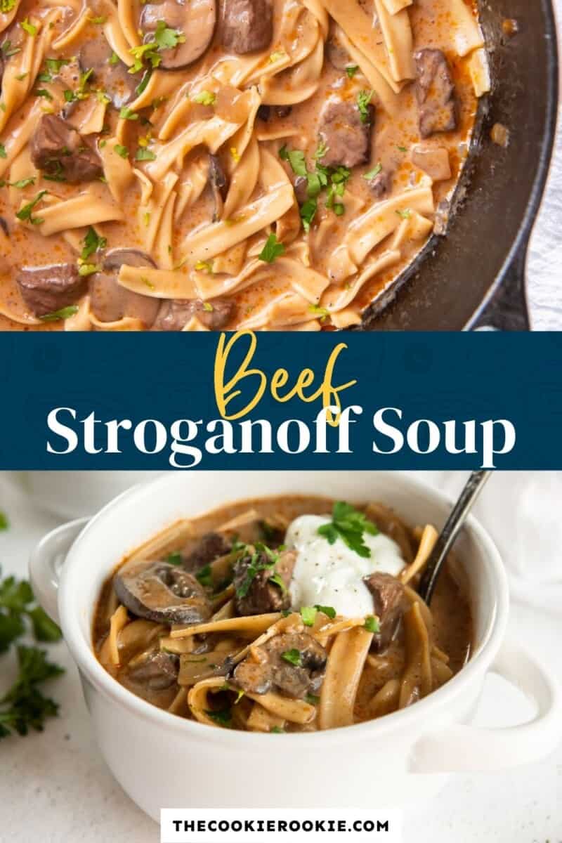 Beef Stroganoff Casserole Recipe - The Cookie Rookie®