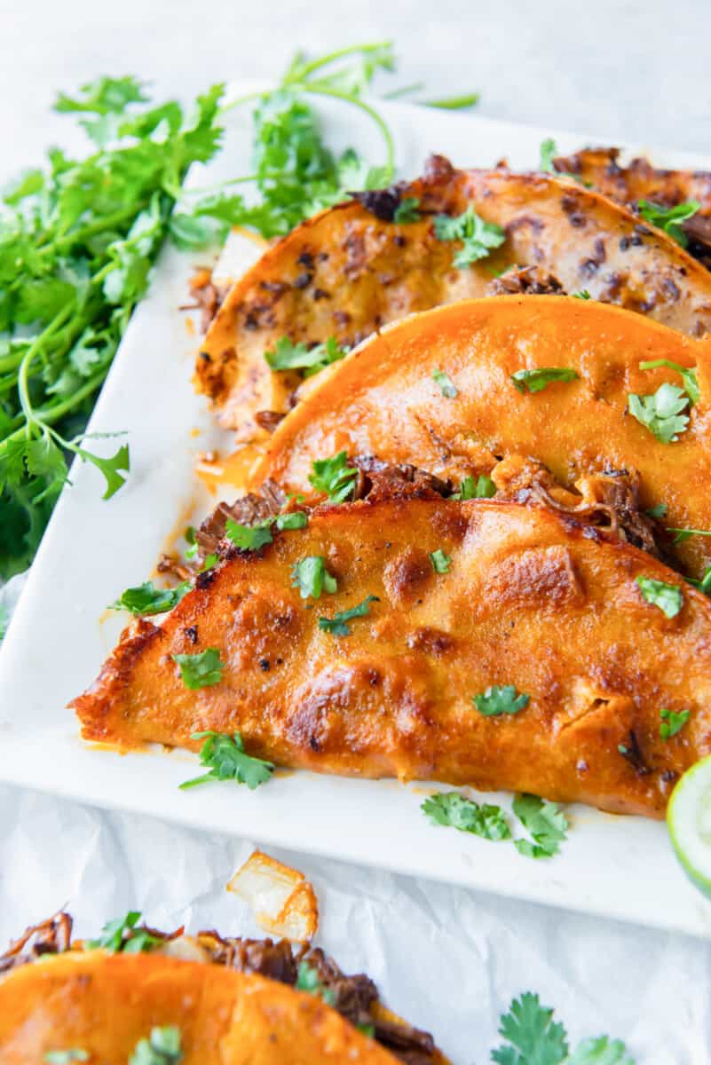 birria tacos on a white serving platter