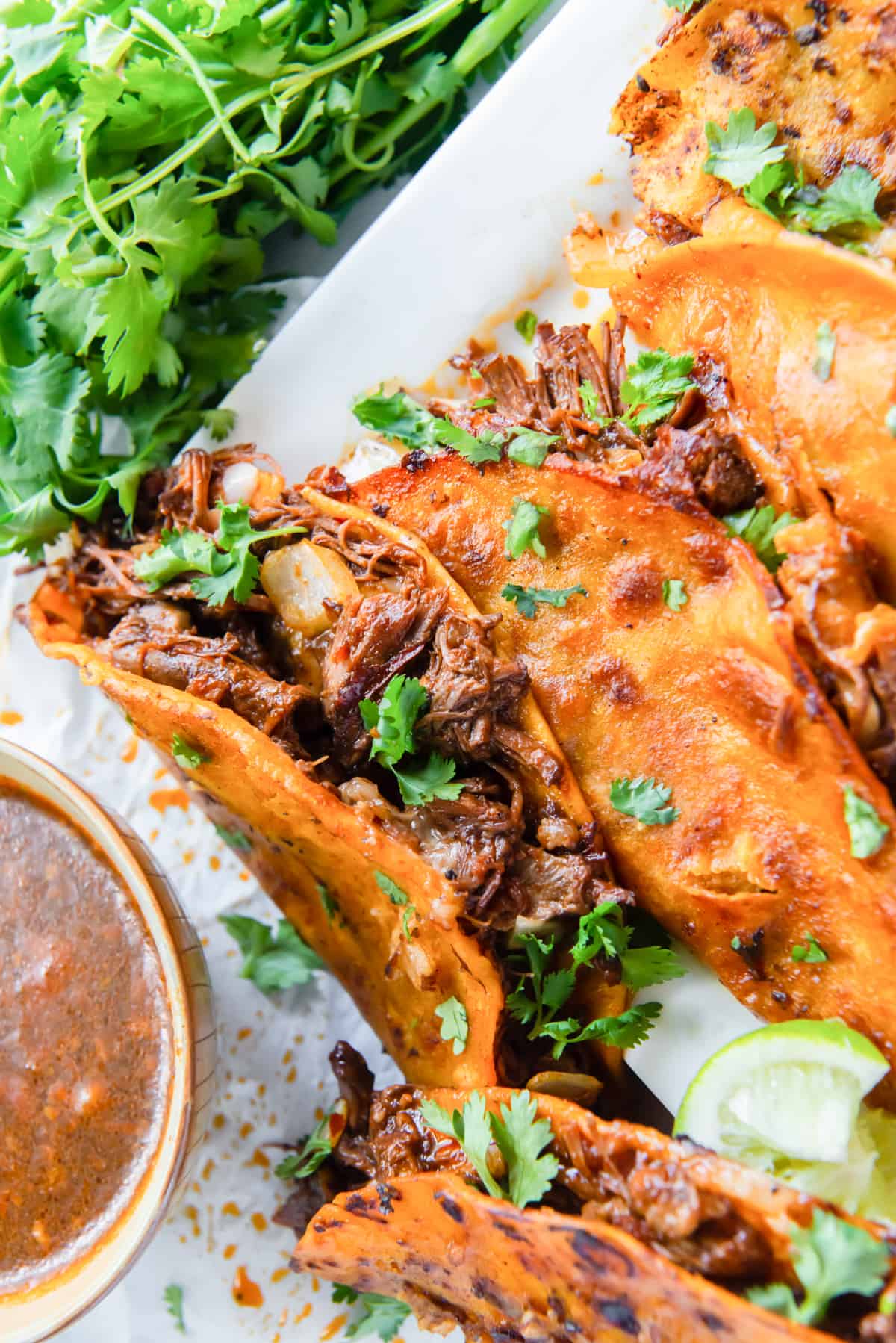 birria tacos on a white serving platter