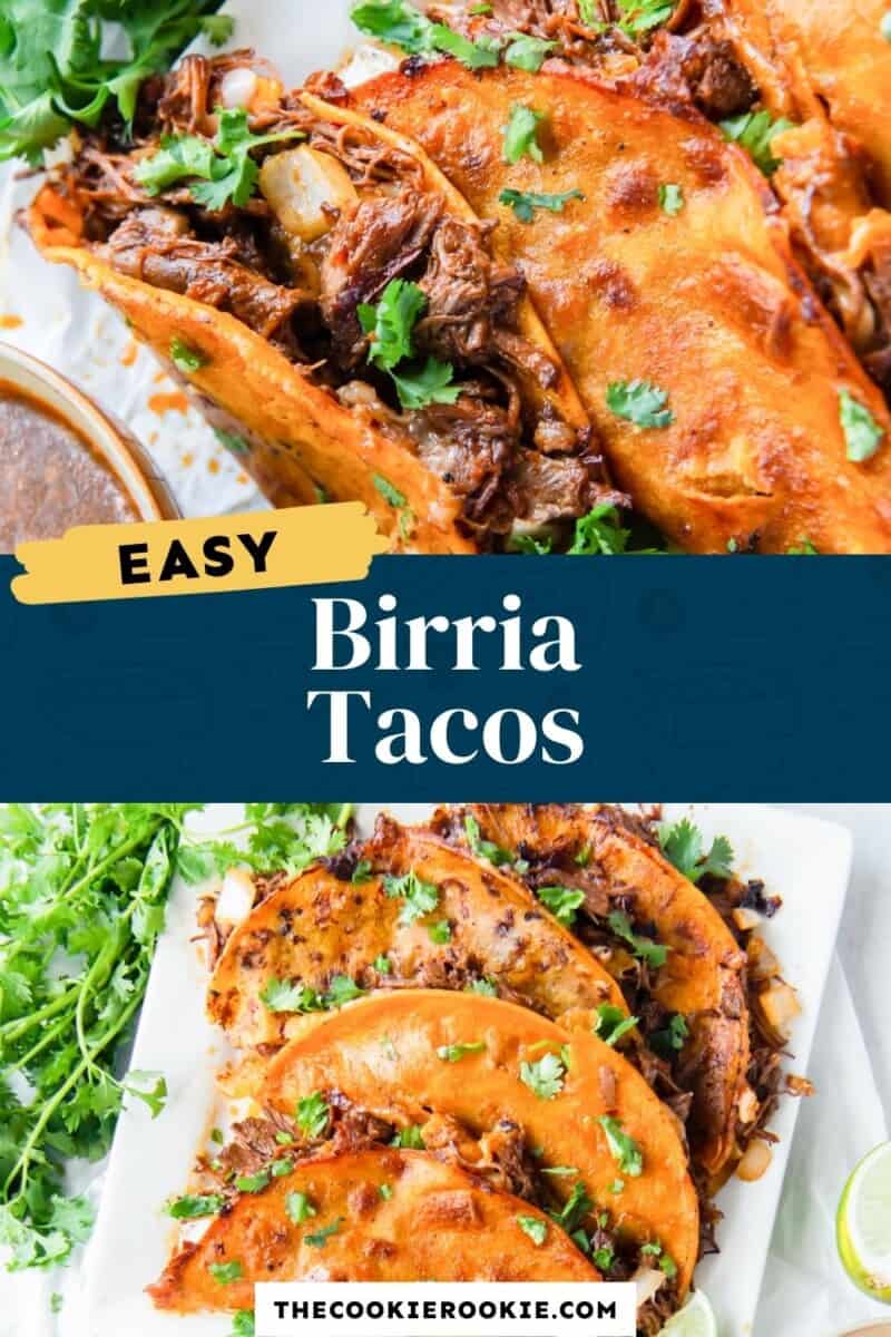 birria tacos pinterest