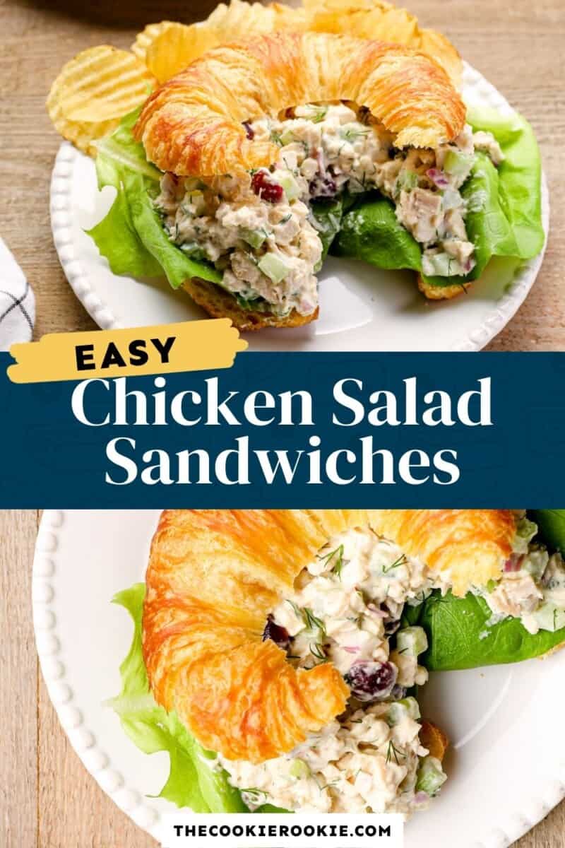 chicken salad sandwiches pinterest