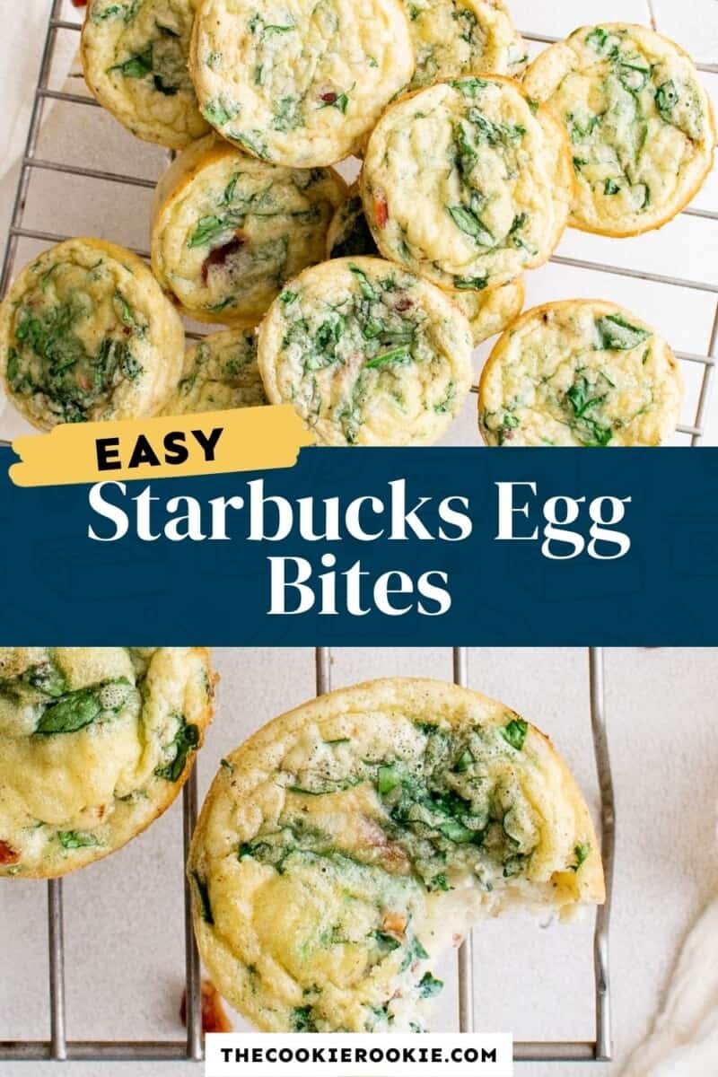 copycat starbucks egg bites pinterest