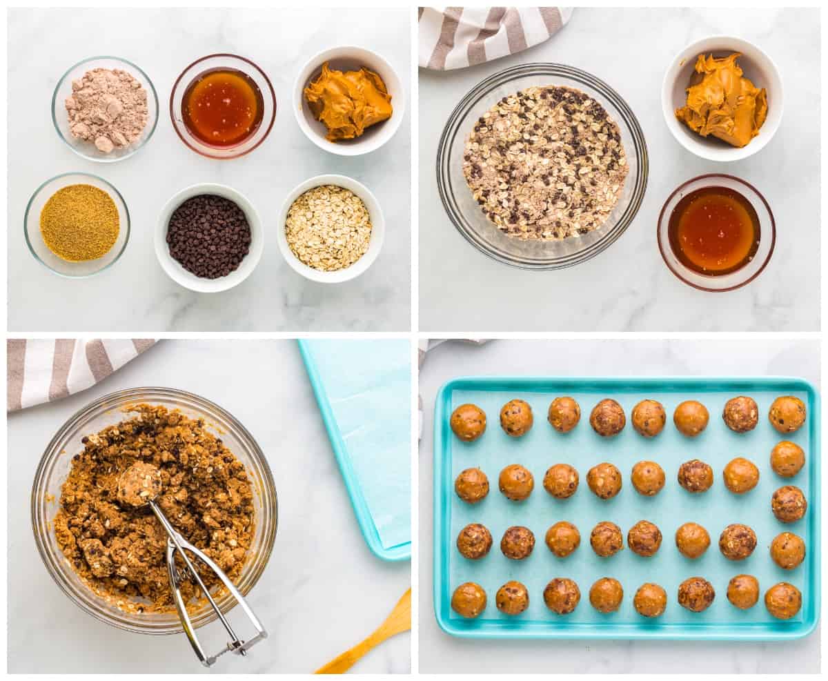 Chocolate Peanut Butter Protein Balls Recipe