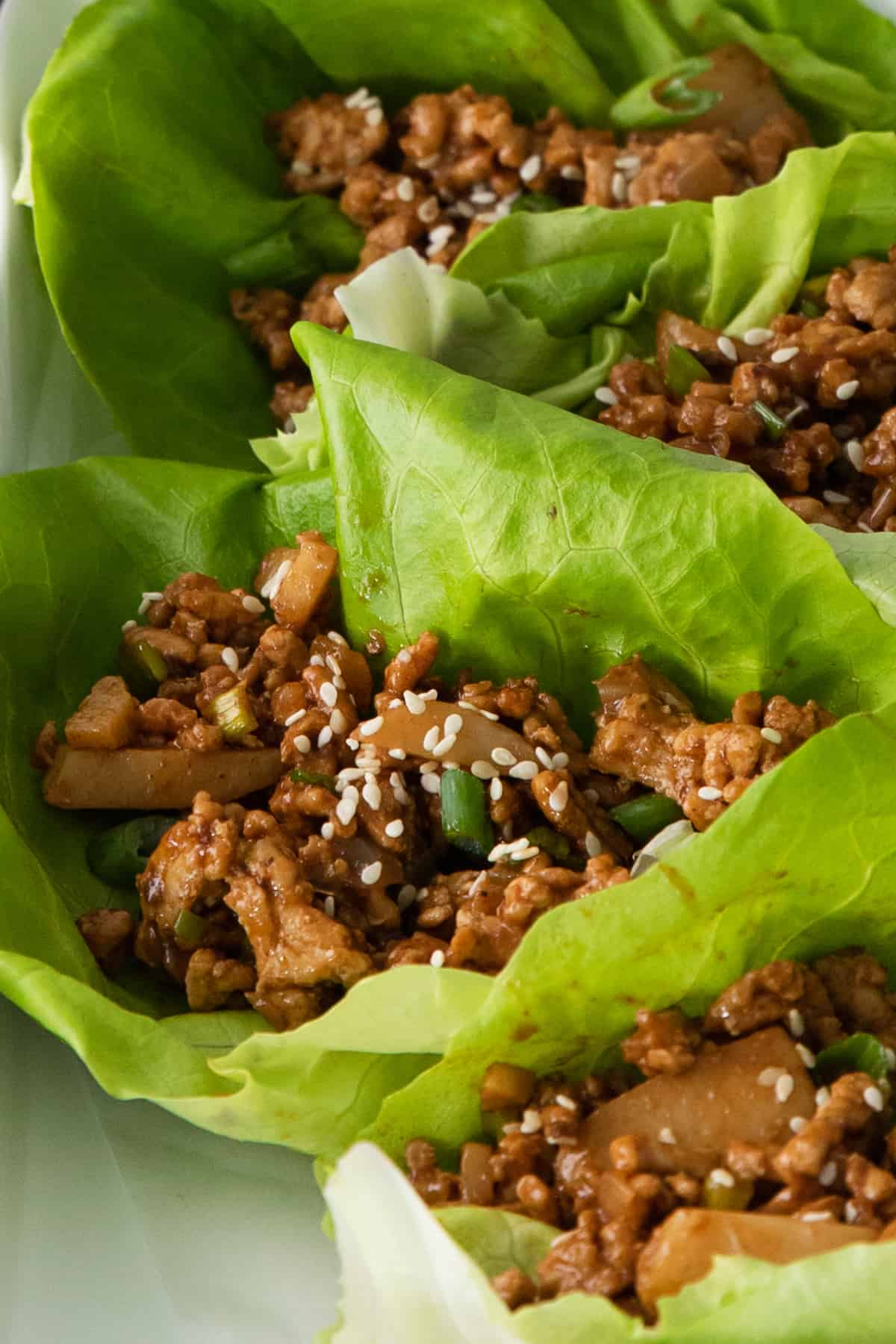 close up of pf changs lettuce wraps.